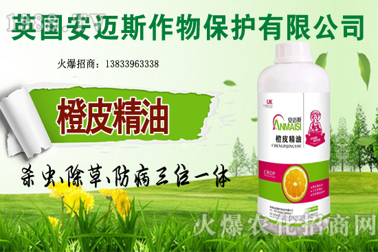 10月種植哪些蔬菜更合適?田間管理要重點(diǎn)抓好哪幾點(diǎn)?