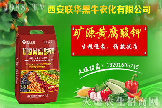 秋季果樹該如何管理？秋季果樹管理應(yīng)避免的四大誤區(qū)！