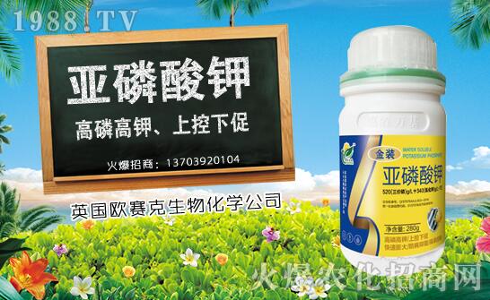 ľ��ʲô�r��Nֲ��ľ�ϷNֲ�r�g���Nֲ���gҪ�c��