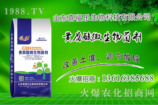 花生價(jià)格穩(wěn)中偏強(qiáng)！2020年10月14日花生價(jià)格行情分析