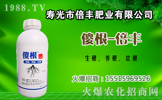 茄子種植該如何施肥？茄子的基肥與追肥方法！