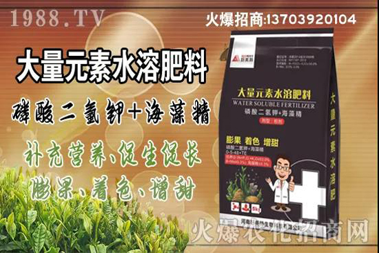 蔬菜旺長(zhǎng)有哪些危害？秋茬蔬菜控旺三要點(diǎn)！