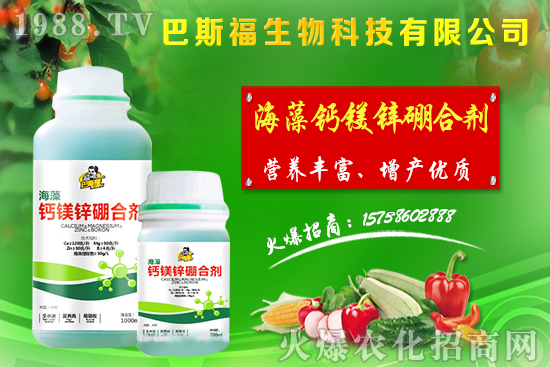     節(jié)后麥?zhǔn)辛魍ㄆ伲←渻r格整體偏強運行！