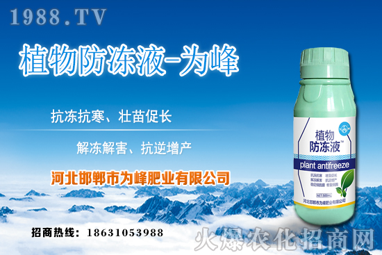 蘆薈的生長規(guī)律有哪些？蘆薈種植方法及種植注意事項(xiàng)！