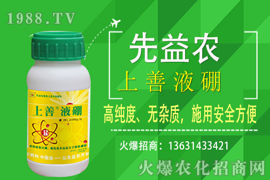 枇杷種植條件有哪些?枇杷種植要怎么施肥?