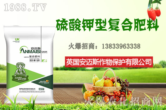 今日花生價(jià)格多少錢一斤?10月24日花生價(jià)格行情