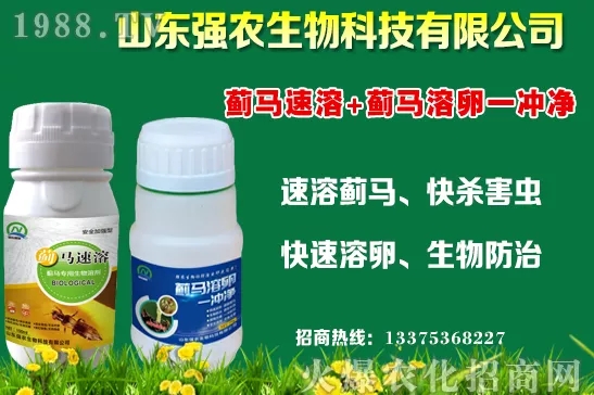 �ﶬ11�·Nֲʲô�߲˱��^���m���߲˷Nֲע����헣�