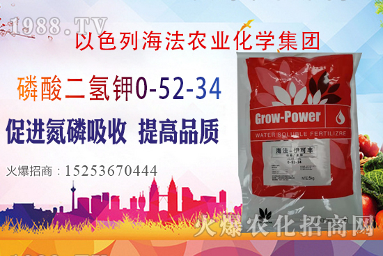 2020��10��28�����؃r(ji��)��(w��n)�����������؃r(ji��)�����(b��o)��