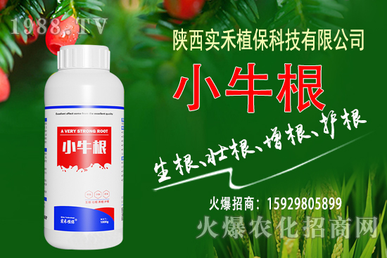 各地區(qū)尿素價格行情報價一覽(10月29日)