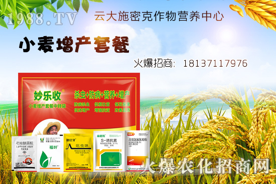 С�����N�󲻳�������ʲôԭ����ɵģ�