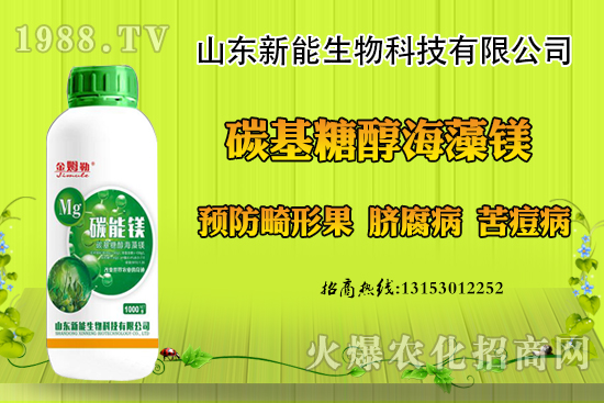 冬季大棚草莓畸形果原因，出現(xiàn)畸形果怎么防治？