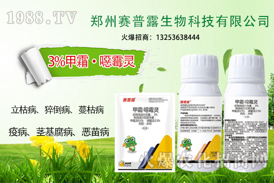 為什么霜霉病、猝倒病易發(fā)?難防治?