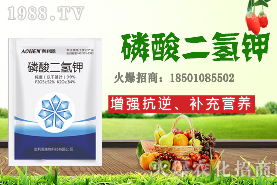 吡唑醚菌酯+蕓苔素+磷酸二氫鉀,有什么作用?