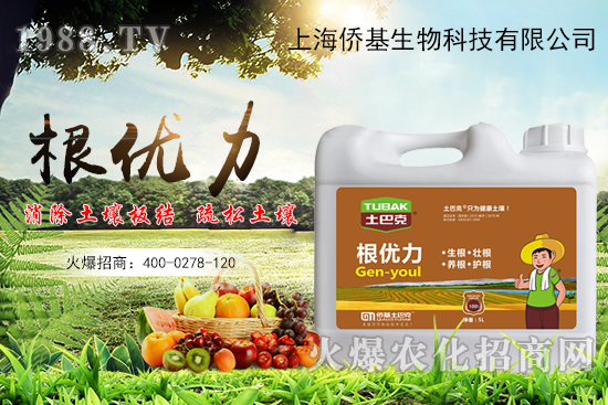 作物生根用什么肥？生根肥選擇有哪些？