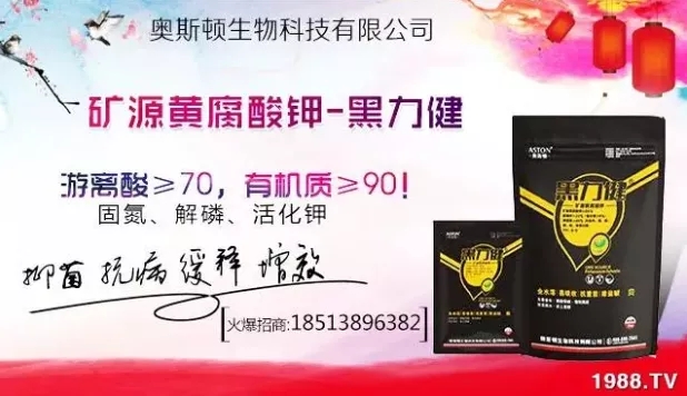 大蒜什么時(shí)間播種?注意事項(xiàng)有哪些?各地大蒜種植時(shí)間表!