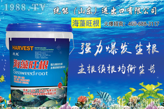 小麥種植時(shí)間如何確定?2020年小麥種植注意哪些問題?