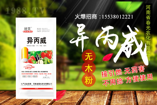 蒜苗種植前景及怎么樣？蒜苗種植要點(diǎn)及田間管理！