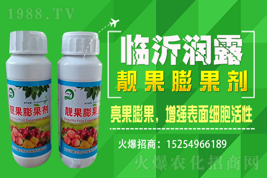 水稻價格野蠻上漲，漲價原因已揭開，能漲到1.6嗎？