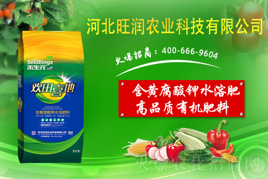 果園反光膜怎么鋪效果好?果園鋪反光膜五要點(diǎn)!