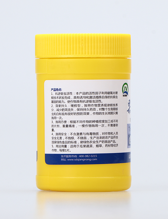 ��������Ƭ2