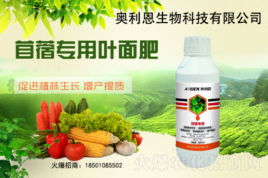 苜蓿越冬肥怎么施?苜蓿的施肥管理