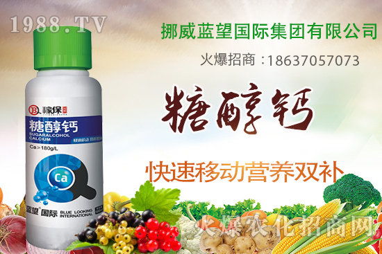 草莓缺鈣有哪些原因呢？草莓缺鈣癥狀及補(bǔ)救措施