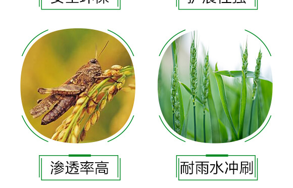 農(nóng)用有機(jī)硅助劑-速展（瓶裝）-愛農(nóng)斯達(dá)_06