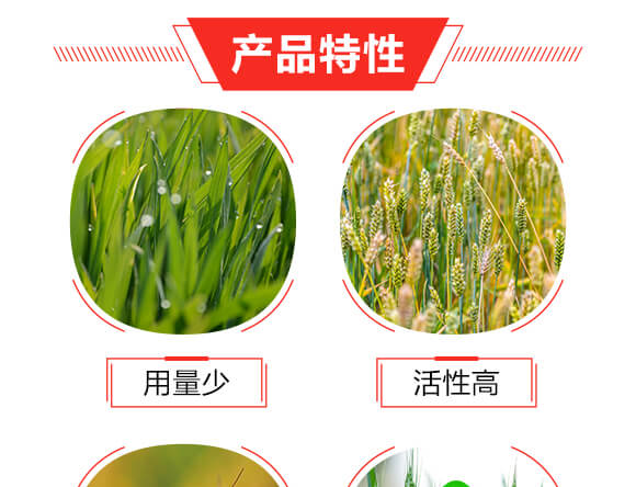 ��(li��n)�ټ׽M���b-��(li��n)_05