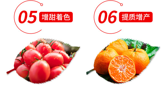 ϡ��΢��Ԫ��ˮ�ܷ���-���M�@-ؐ��_07