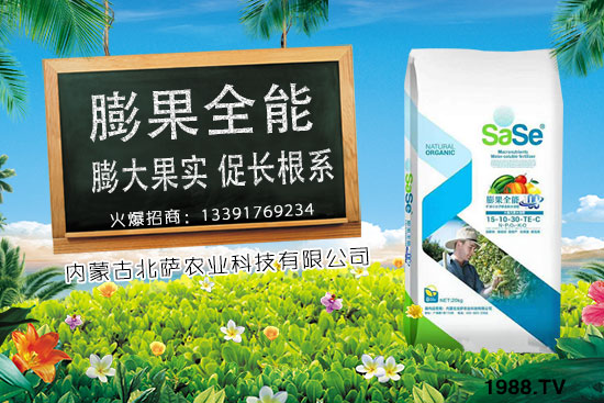 菜椒要怎么種植？菜椒生長條件及種植技術！