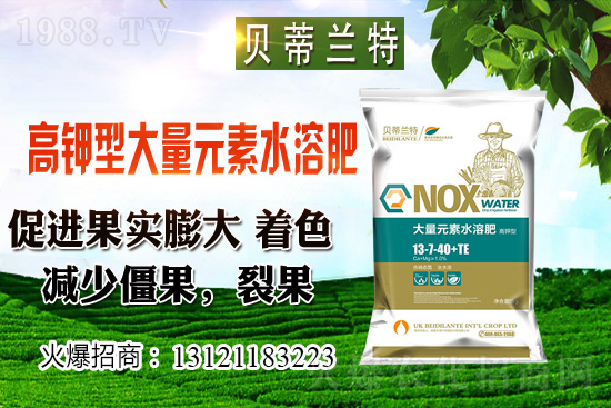 2020年12月小麥價(jià)格預(yù)測(cè)(附今日小麥價(jià)格介紹)