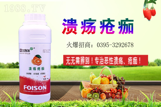 2021��ʯ��Nֲ���������ʯ�������ǰ����ô����