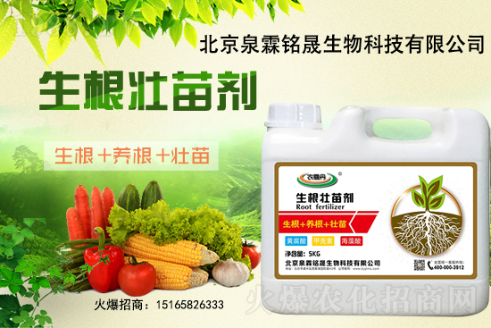 һ���y����2020-11-25�|�����ϝqѸ��