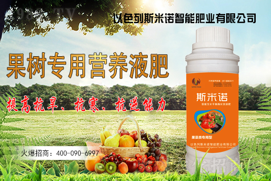 大豆價(jià)格持續(xù)“高漲”？今日東北大豆報(bào)價(jià)一覽！