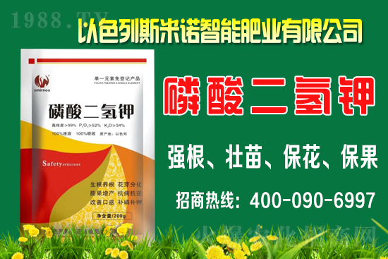 柑橘什么時(shí)間施肥?柑橘的施肥時(shí)間及用量介紹!