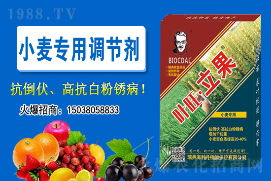 小麥價(jià)格會(huì)不會(huì)上漲?2020-11-26小麥價(jià)格行情