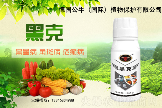 東北大豆能破3元/斤嗎?11月28日大豆價(jià)格行情