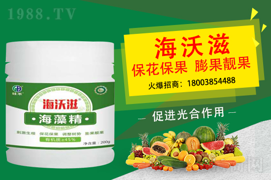 ��ɲ�ݮ��С��ʲô���أ���ô���M(j��n)��ݮ�������