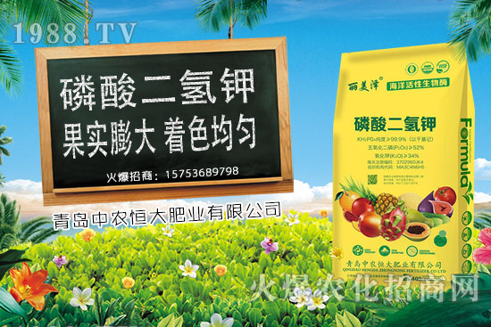 今日小麥價(jià)格上漲,后期是否會(huì)持續(xù)上漲?