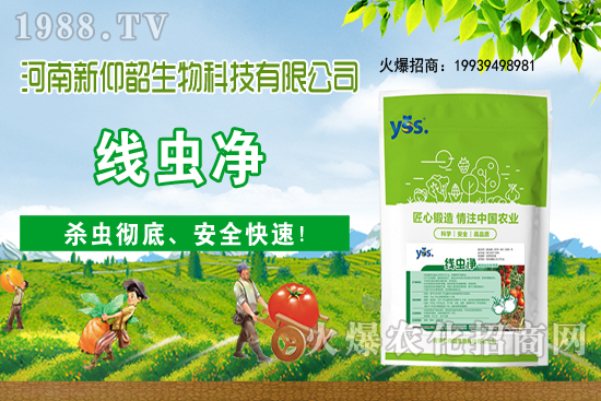 多肉植物該怎么澆水?多肉植物澆水要注意哪些問題呢?