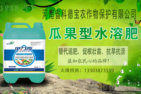 江西贛南臍橙什么時候成熟上市？如何挑選贛南臍橙？