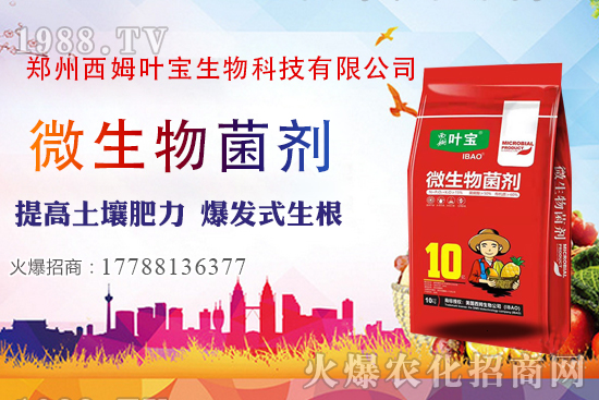     11月7日部分區(qū)域花生價格行情綜述分析！