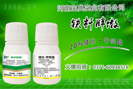 小麥冬前旺長(zhǎng)有什么危害?采取什么措施能有效防徒長(zhǎng)?