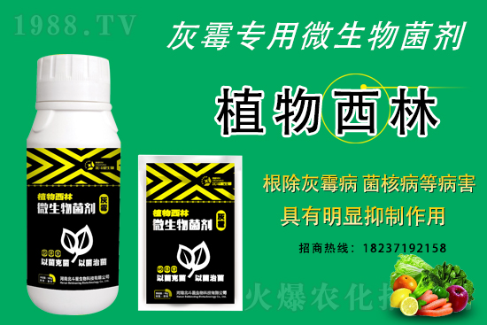 灰霉病不好治的原因，怎么做防治效果好？