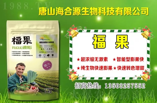 目前小麥?zhǔn)召?gòu)多少錢一斤?小麥價(jià)格行情如何?