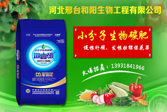 春節(jié)前小麥價(jià)格會(huì)不會(huì)漲?今日小麥價(jià)格行情!