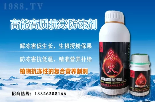 早春韭菜如何施肥？韭菜施肥方法和注意事項(xiàng)！