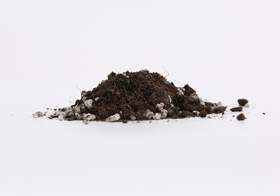 ������|(zh��)-������-�����r(n��ng)�I(y��)2