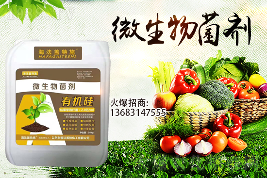 寒潮來襲！大棚持續(xù)低溫，作物生根要點！