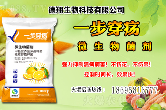 國(guó)產(chǎn)大豆價(jià)格穩(wěn)中有跌!2020-12-21黑龍江及部分地區(qū)大豆行情!